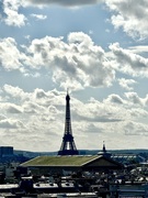 21st Sep 2025 - La grande demoiselle. 