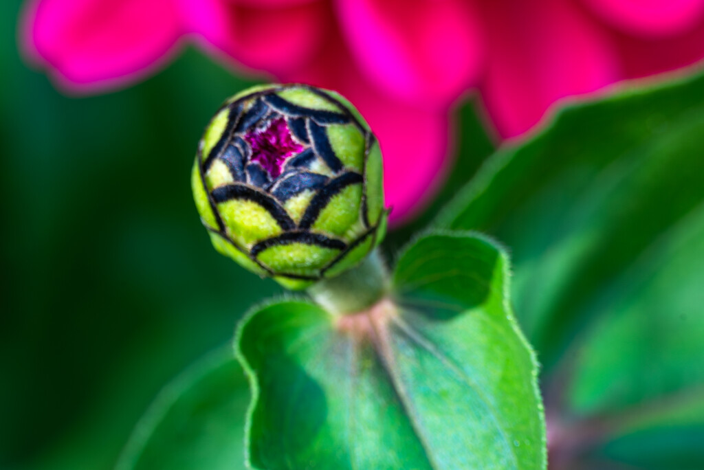 Your time will come by mdaskin