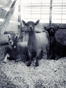 22nd Sep 2025 - Kids