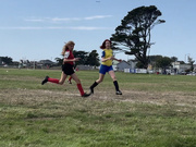 23rd Sep 2025 - Soccer 