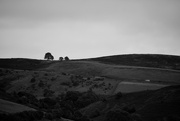 22nd Sep 2025 - Horizon - Rolling Hills