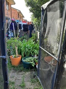 23rd Sep 2025 - Spring Equinox 