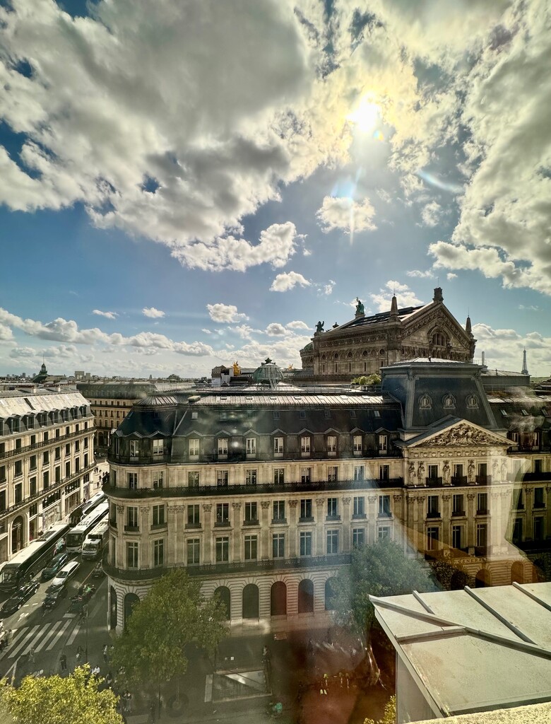 From the top of Galeries Lafayette.  by cocobella