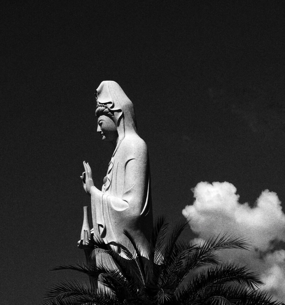 Peace be with you all 🙏🏻 by joemuli