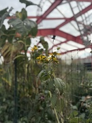 22nd Sep 2025 - Beginning of Fall