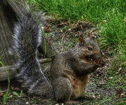 22nd Sep 2025 - 22september