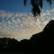 23rd Sep 2025 - Clouds 