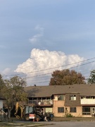 23rd Sep 2025 - Just a Cloud