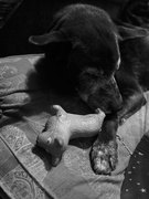 23rd Sep 2025 - Blue Moon