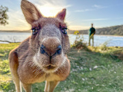 24th Sep 2025 - Whiskers!