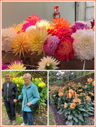 24th Sep 2025 - A Dahlia Day