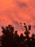 24th Sep 2025 - Sunrise