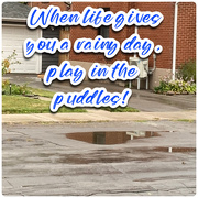 24th Sep 2025 - Rainy Day!