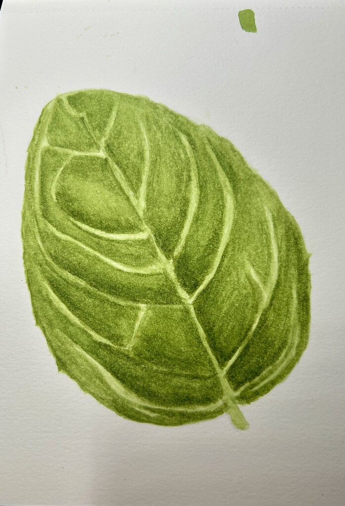 Leaf Tutorial by marylandgirl58