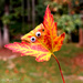 Leaf Peeping by lesip