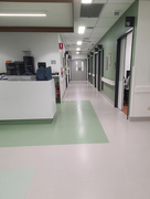 25th Sep 2025 - Pre-op clinic