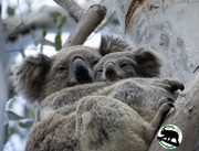 22nd Sep 2025 - let's stick together