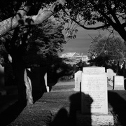 25th Sep 2025 - New build 