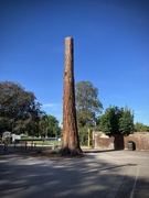 25th Sep 2025 - Bone of Contention 