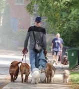 25th Sep 2025 - A Little Courtesy