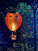 25th Sep 2025 - 25september