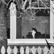 26th Sep 2025 - Chic Outlook