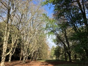 26th Sep 2025 - Autumn 