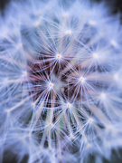 26th Sep 2025 - As I Was Walking . . . 