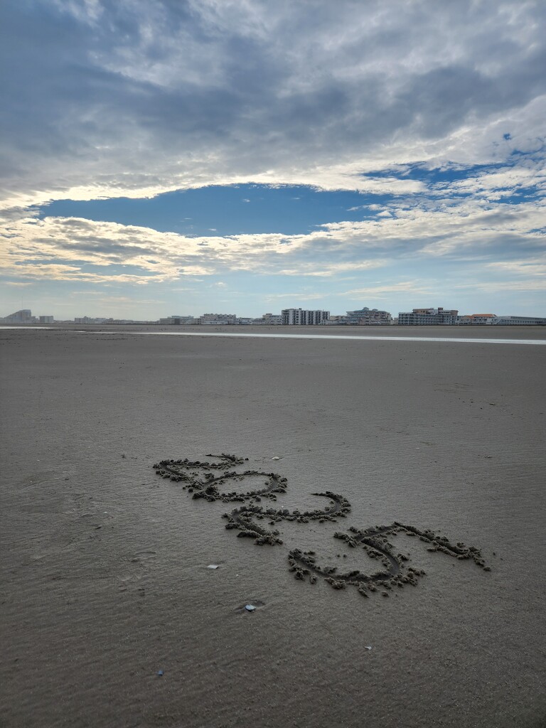 Saying Goodbye by jo38