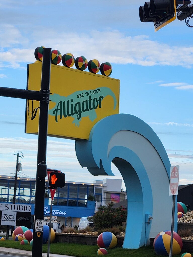 See You Later Alligator  by jo38