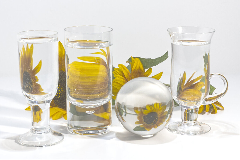 Sunflowers in the style of Suzanne Saroff by 30pics4jackiesdiamond