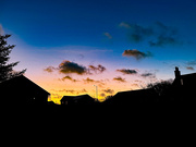 26th Sep 2025 - Morning Birdfeed