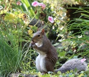 26th Sep 2025 - It Must Be Autumn!