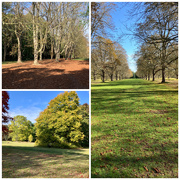 27th Sep 2025 - Space at Anglesey Abbey 