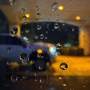 25th Sep 2025 - Check In