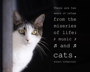 24th Sep 2025 - sissy