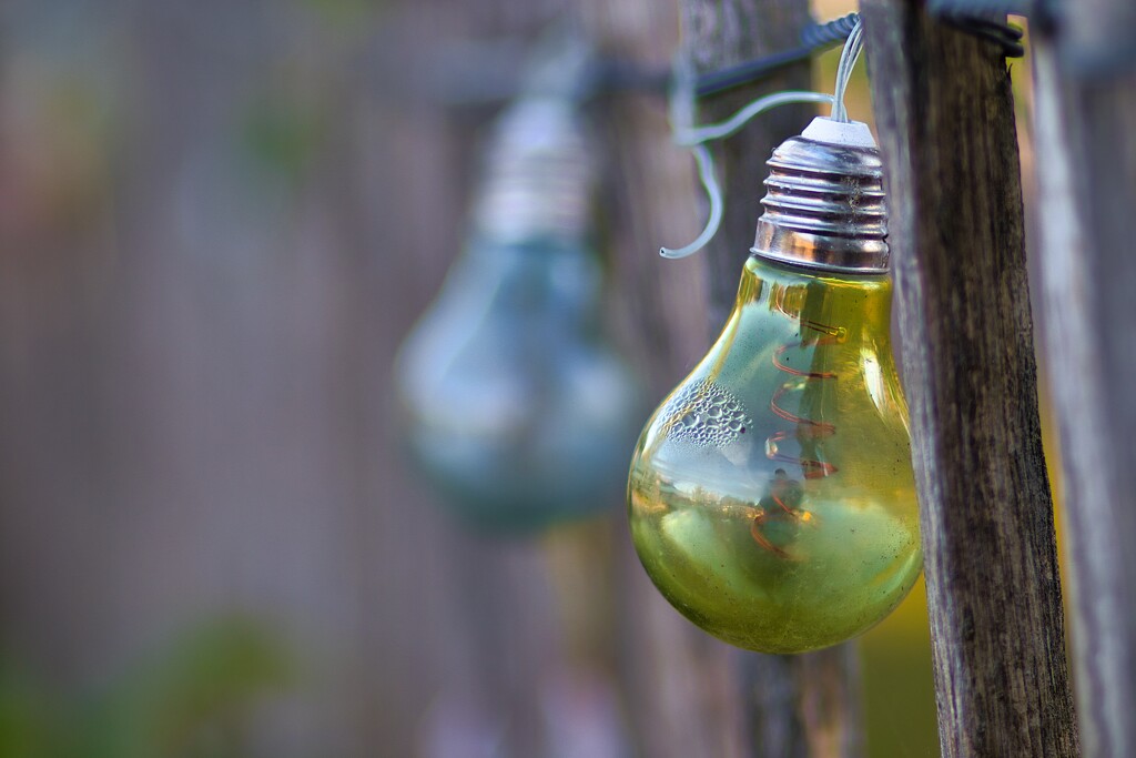  Light Along the Fence by okvalle