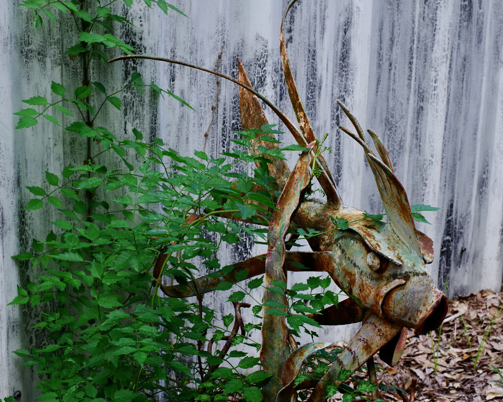 A fish out of water by eudora