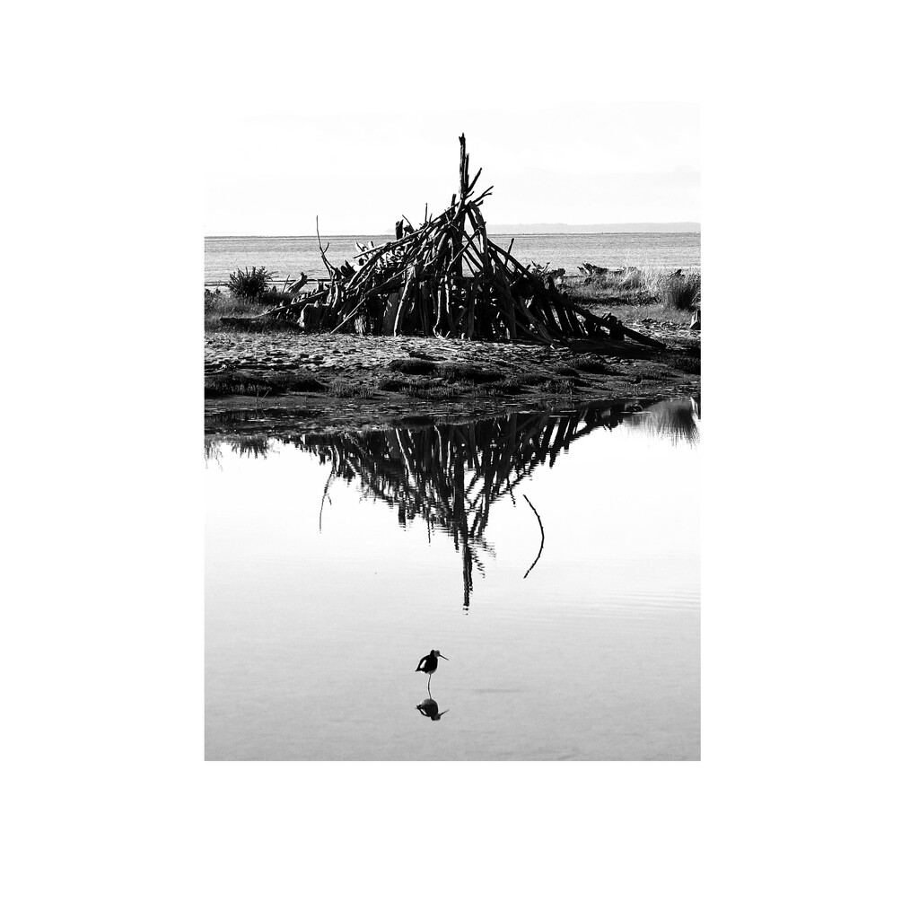 Reflections by whippy