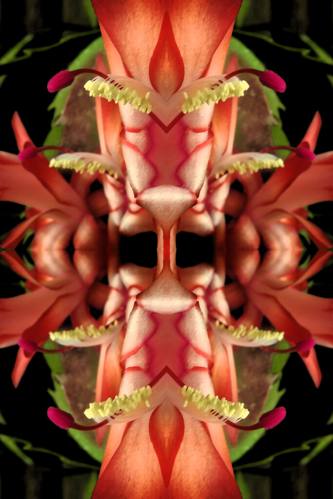 A month of filters - Zygo's.  by jeneurell