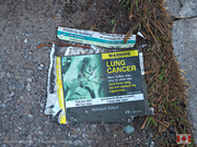 27th Sep 2025 - Barb Tarbox