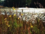 27th Sep 2025 - 27september