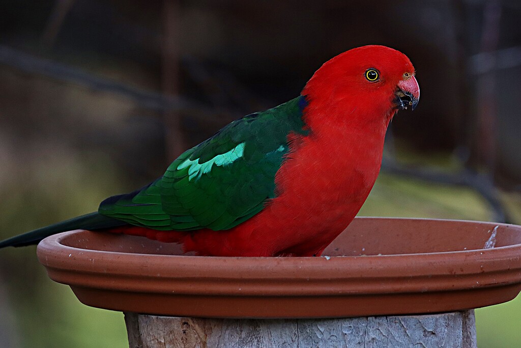 Who's a pretty boy by leggzy