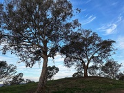 28th Sep 2025 - End of day