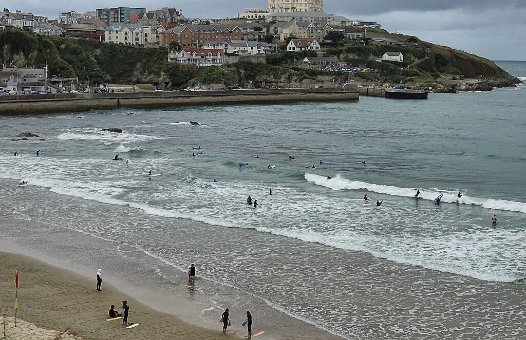 Surfing.... by cutekitty