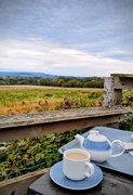 28th Sep 2025 - Tea with a view