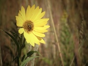 28th Sep 2025 - 28september