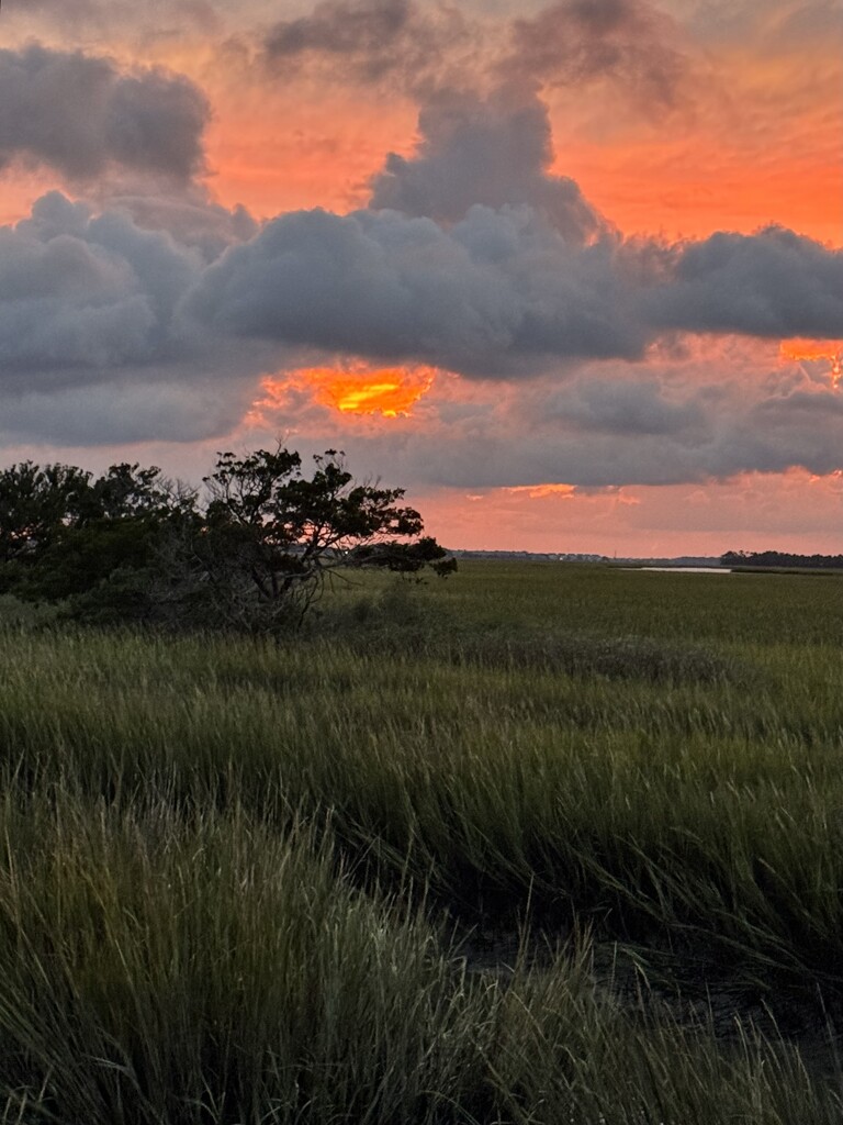Marsh sunset, Folly Beach, SC by congaree