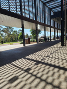 29th Sep 2025 - Patterns