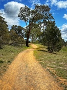 29th Sep 2025 - The long and winding road